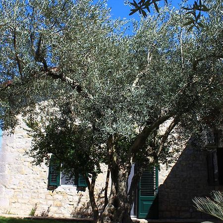 Appartamento Le Tre Palme Frigintini Buitenkant foto