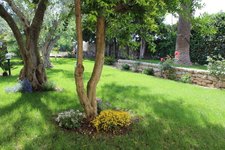 Appartamento Le Tre Palme Frigintini Kamer foto